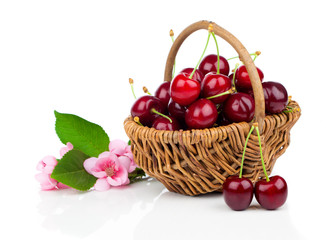 Fototapeta na wymiar fresh cherries in a wicker basket isolated on white background