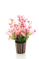 Fototapeta premium Bouquet of flower