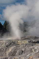 erupting  geyser