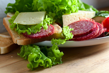 sandwich with salami and cheese