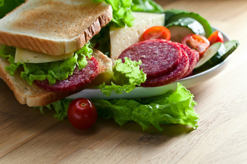 sandwich with salami and cheese