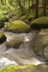 Nature Reserve Doost