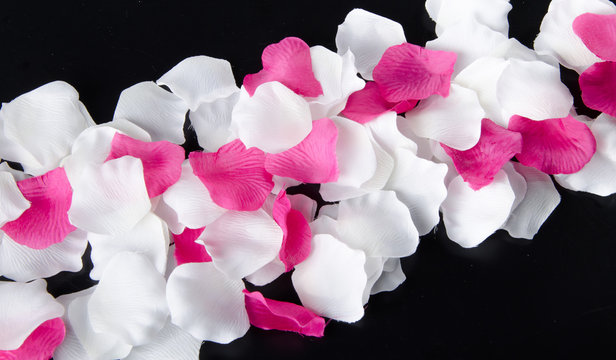 Fototapeta Composition with white and pink petals