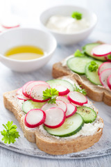 Fototapeta na wymiar healthy sandwich with radish cucumber and cream cheese