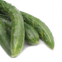 cetrioli_ sfondo bianco