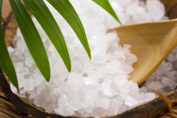 sea salt with palm leaf