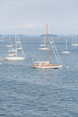 White Sailboats with Empty Masts