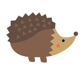 hedgehog isolated on white