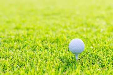 Golf ball on green grass