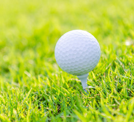 Golf ball on green grass