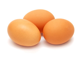 Egg