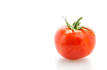 Tomato isolated on white
