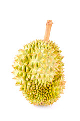 Durian fruit isolated white background
