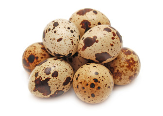 Obraz premium Quail eggs