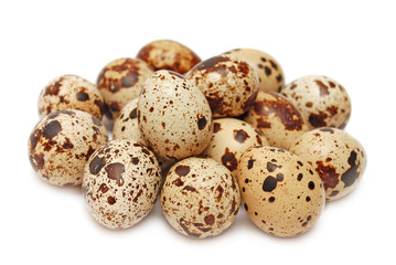 Obraz premium Quail eggs