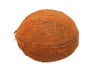Coconut