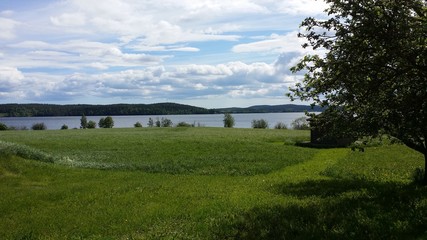 View towards the lake