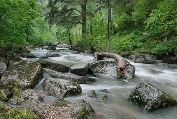 Photo sur Plexiglas Rivière Beautiful landscape with stormy river