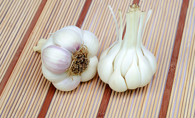 two garlic on a table