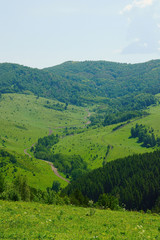 Beautiful summer alpine landscape with forested mountains