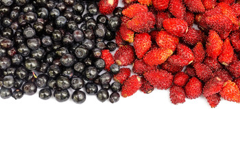 bilberry and wild strawberry on a white background