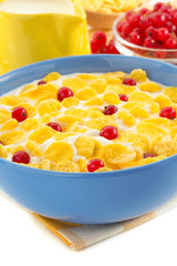 corn flakes and milk in bowl on white