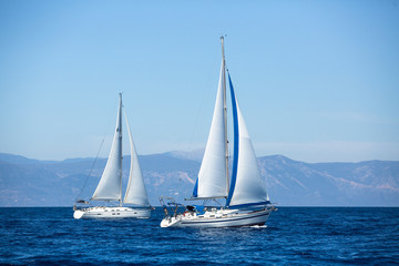 Fototapeta premium Group of sail yachts in regatta near a coast.