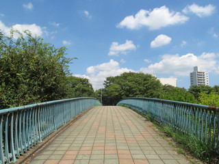 歩道橋の上 © ほじん