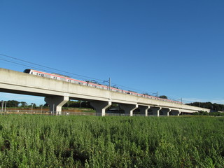 高架の鉄道と草むら