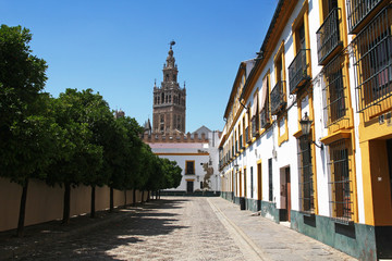 Obraz premium view of Giralda from the Plaza Patio de Banderas, Seville, Spain