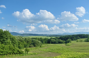 Summer landscape with mountain in background.