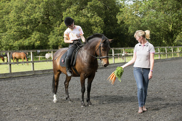 Using a bunch of carrots to train a pony and rider