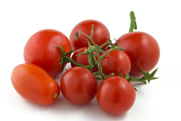 tomatoes on a white background