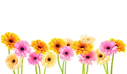 Tableaux ronds sur aluminium Gerbera Composition with gerberas isolated on white