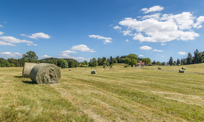 fenaison dans les Vosges