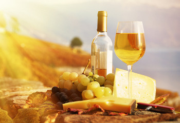 Wine, grapes and cheese against vineyards in Lavaux region, Swit