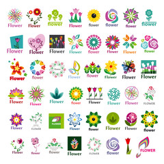 large collection of vector floral logos