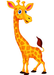 Naklejka premium Cartoon giraffe