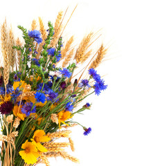Bouquet from ears and field flowers isolated on white background