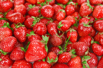 Ripe sweet strawberries close-up