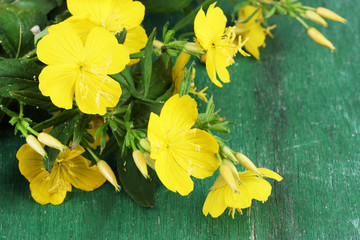 Beautiful yellow wild flowers  color wooden background