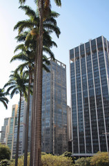 Fototapeta na wymiar Skyscrapers in central district of Sao Paulo, Brazil