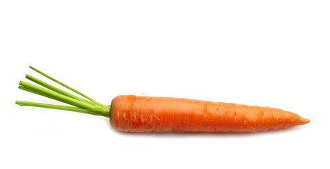 fresh raw carrot
