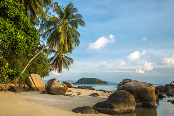 Obrazy na Szkle  A beautiful tropical beach with palm trees at Koh Phangan island