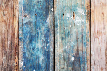 Fototapeta premium Wood texture