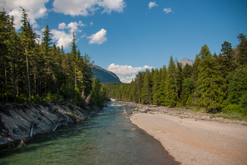 Fototapeta na wymiar Mountain Stream at Glacier National Park