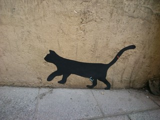 Gatto nero
