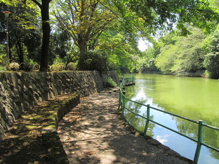 武蔵関公園