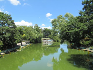 武蔵関公園の池