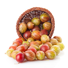 green and red gooseberries
